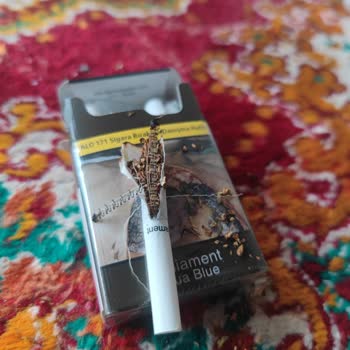 Sigara İçinden Plastik Parça Çıktı, Sağlığımız Tehlikede