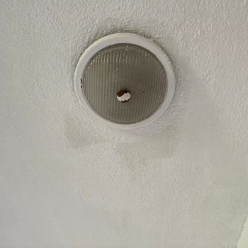 Filli Boya'nın Boyacı Fiyaskosu: Hayal Kırıklığı ve Güven Kaybı