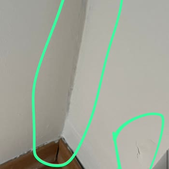 Filli Boya'nın Boyacı Fiyaskosu: Hayal Kırıklığı ve Güven Kaybı