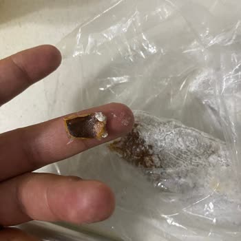 Elit Kuruyemiş (Gaziantep) Şikayeti