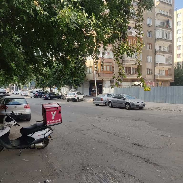 Kedilerimizin Güvenliği İçin Kasis Talebi