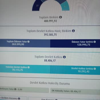 Emeklilik Ödemesi ve Birikim Değer Kaybı Sorunu