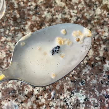 BİM Kelly’s Yulaf Ezmesi Şikayeti