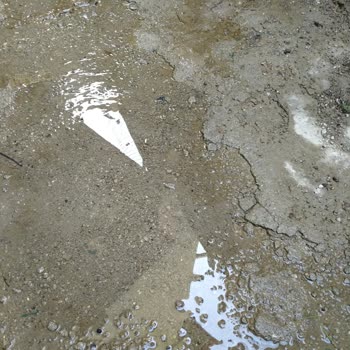 Ankara Büyükşehir Belediyesi İki Aydır Süren Su Sızıntısı Ve İlgisizlik