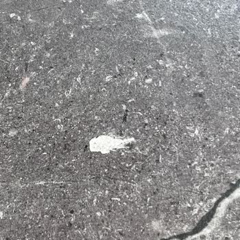 Yeni Parkelerde Kalite Sorunu ve Ekspertiz Gecikmesi