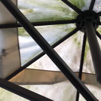 Şemsiye Evi Markasından Aldığımız Ürün Küflendi