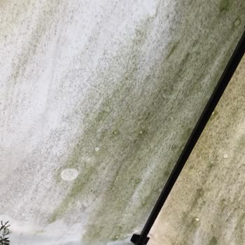 Şemsiye Evi Markasından Aldığımız Ürün Küflendi