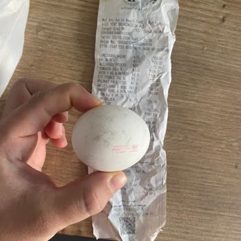 Küflü Yumurtalar ve İlgisiz Mağaza Personeli