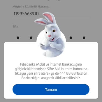 Fibabanka Mobil Uygulama Erişim Sorunu ve Şube Eksikliği