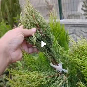 Eksik ve Hasarlı Fidan Teslimatı