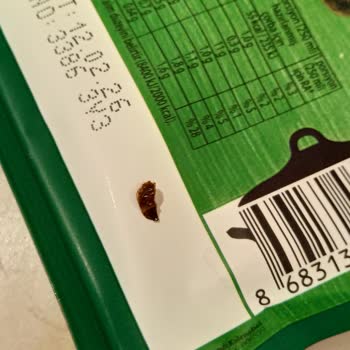 Жук в готовом супе Knorr