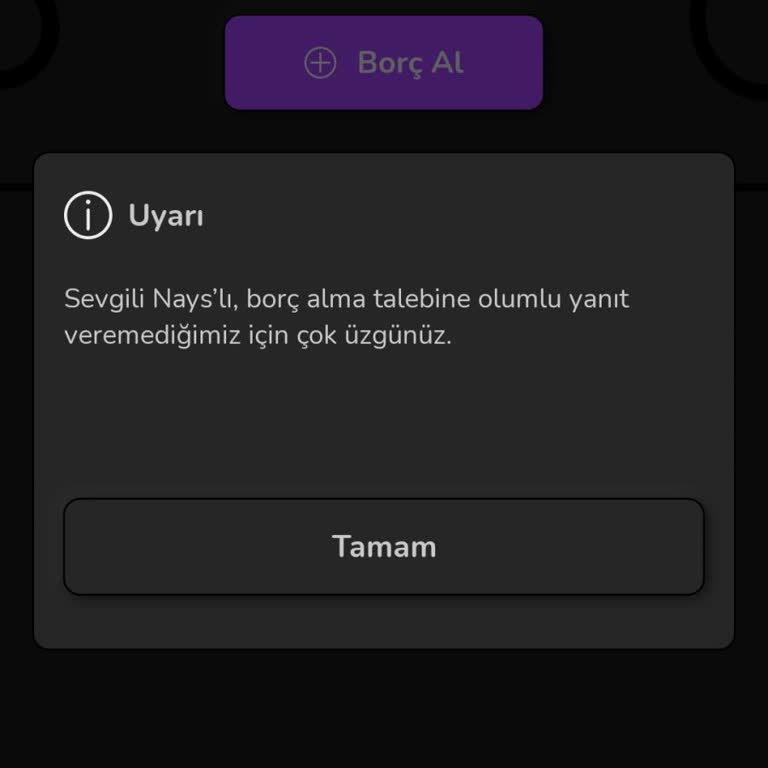 Naystan Borç Alma Sorunları: Gelir Bilgisi Engeli