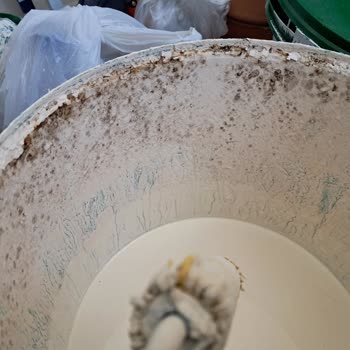 Permolit Boya ile Hayal Kırıklığı: Küf ve Rutubet Sorunu