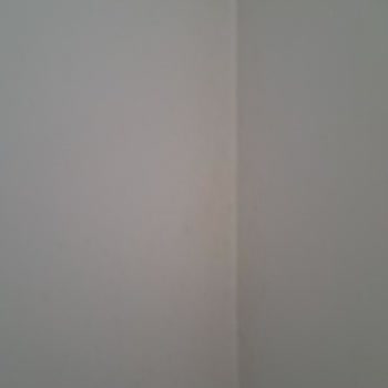 Permolit Boya ile Hayal Kırıklığı: Küf ve Rutubet Sorunu