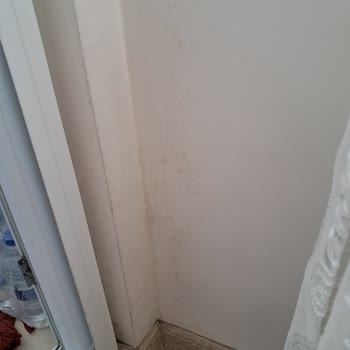 Permolit Boya ile Hayal Kırıklığı: Küf ve Rutubet Sorunu