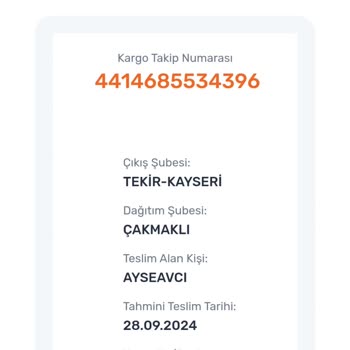 Kargo Teslimatında Sürekli Oyalama ve Mağduriyet