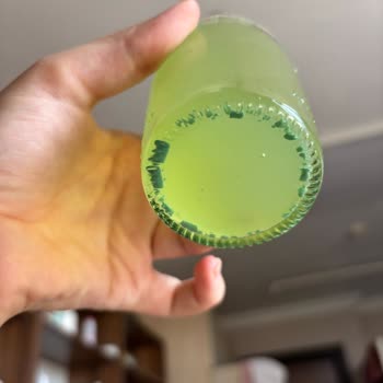 Schweppes Limon Aromalı İçecekte Küf Şoku