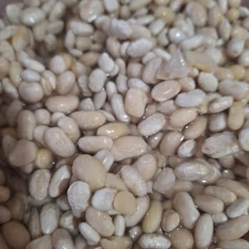 Kuru Fasulyede Korkunç Koku ve Kalite Sorunu