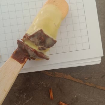 Dondurmadan Çıkan Odun Parçaları Şoku