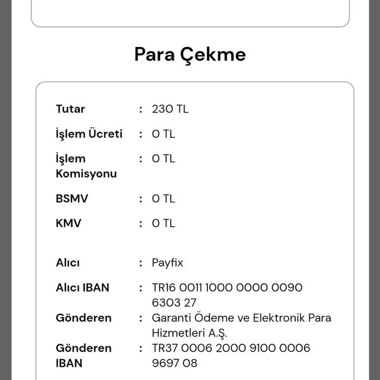 Para Transferinde Yaşanan Gecikme Sorunu
