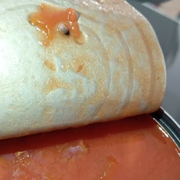 Böcekli Ürün Skandalı: Param Çöpe Gitti!