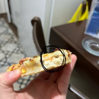 Found Wire and Hair in My Little Caesars Pizza Order