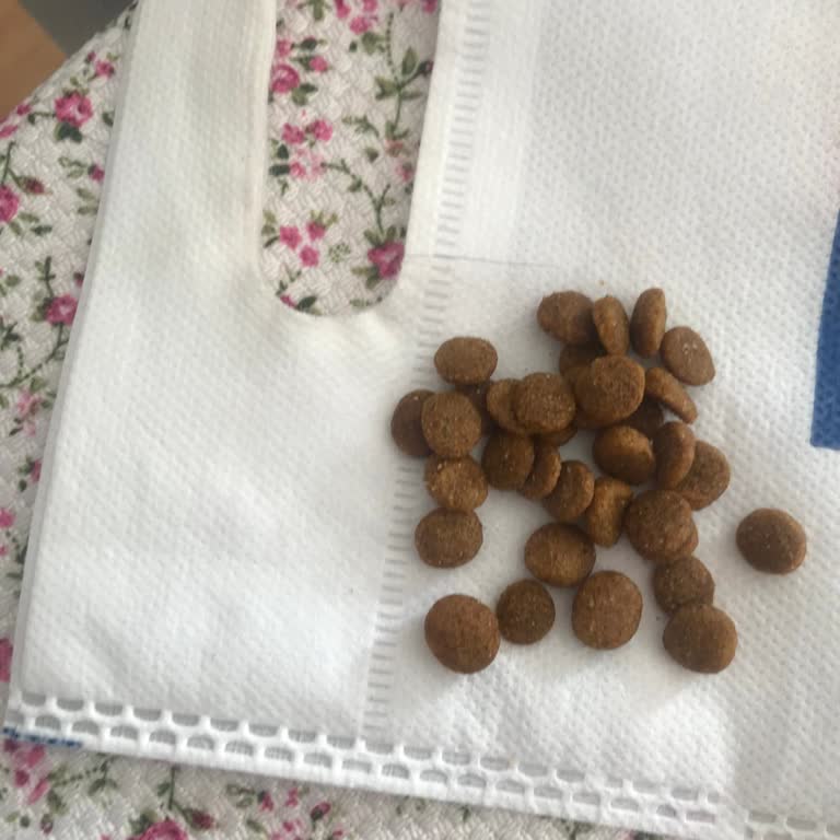 Yanıltıcı Ürün ve Kedilerin Tepkisi