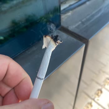 Sigara Paketinden Çıkan Plastik Maddeyle Sağlığım Tehlikeye Girdi