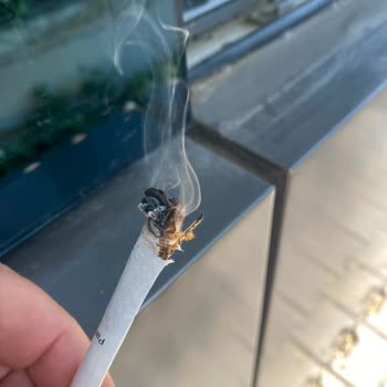 Sigara Paketinden Çıkan Plastik Maddeyle Sağlığım Tehlikeye Girdi