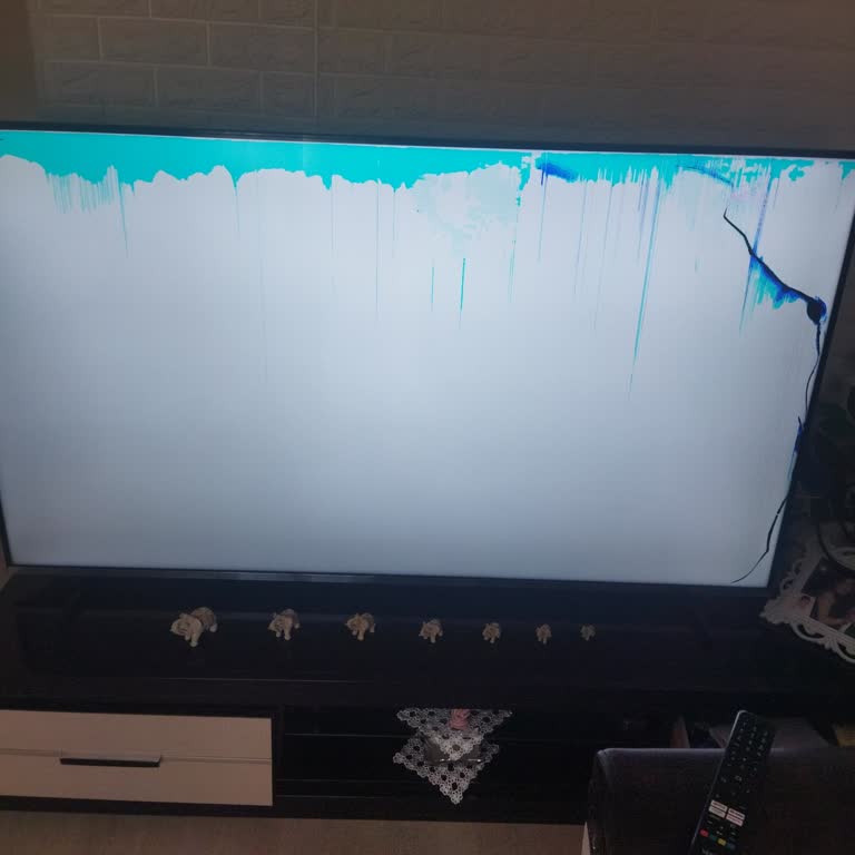 Vestel TV'de Garanti Kapsamı Sorunu ve Kullanılamaz Durum