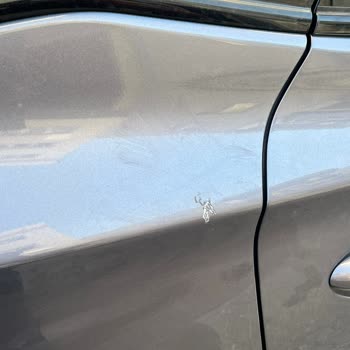 Chery Omoda 5'te Boya Ve Renk Uyumsuzluğu Sorunu