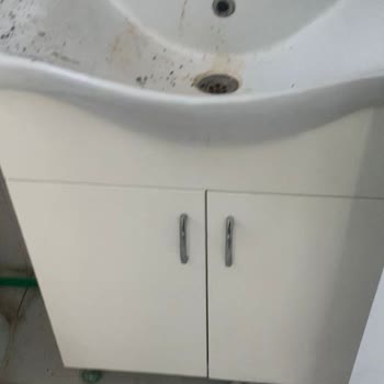 RE/MAX Star İle Kiracı Sorunu Ve Hayal Kırıklığı