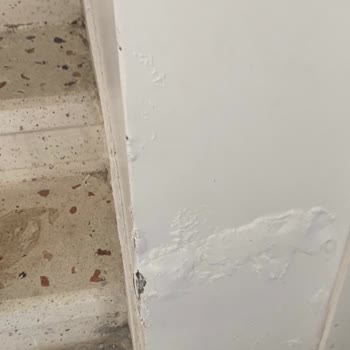 RE/MAX Star İle Kiracı Sorunu Ve Hayal Kırıklığı