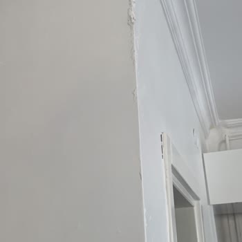 RE/MAX Star İle Kiracı Sorunu Ve Hayal Kırıklığı