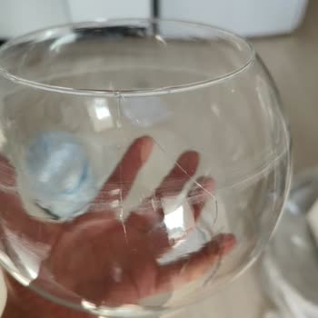 Taşınma Sürecinde Yaşanan Sorunlar ve Kırılan Eşyalar