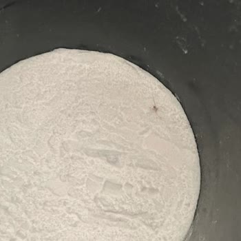 Üründen Çıkan Örümcek ve İletişimsizlik Şoku