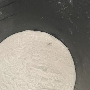 Üründen Çıkan Örümcek ve İletişimsizlik Şoku