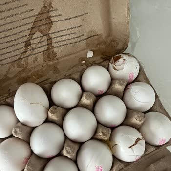 Migros Hemen'den Gelen Bozuk Ürünler: Müşteri Sağlığı Tehlikede