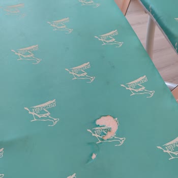 Gazella Ütü Masası Hayal Kırıklığı