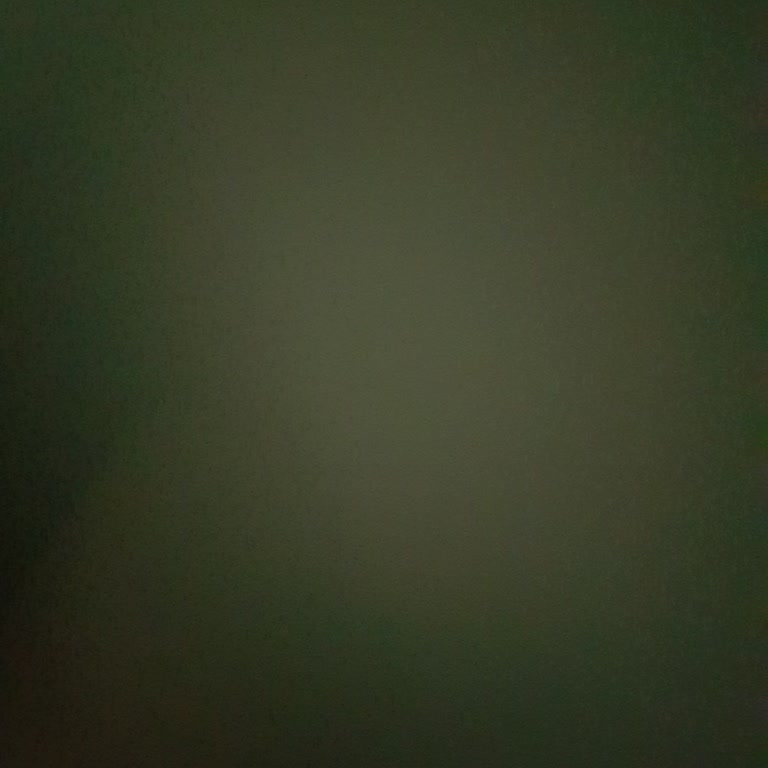 Sürekli İnternet Kesintileri ve Ulaşılmaz Müşteri Hizmetleri