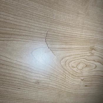 Defolu Yatak Sorunu ve Çözüm Eksikliği