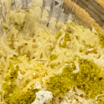 Hijyen Skandalı: Tatlılardan Çıkan Saç Kılları