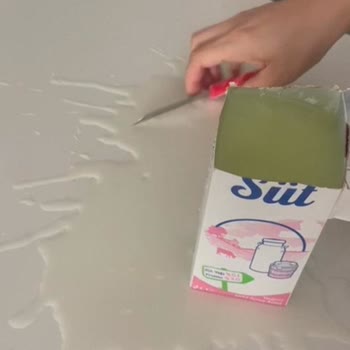 Bozuk Süt Ürünleri ve Sağlık Tehlikesi