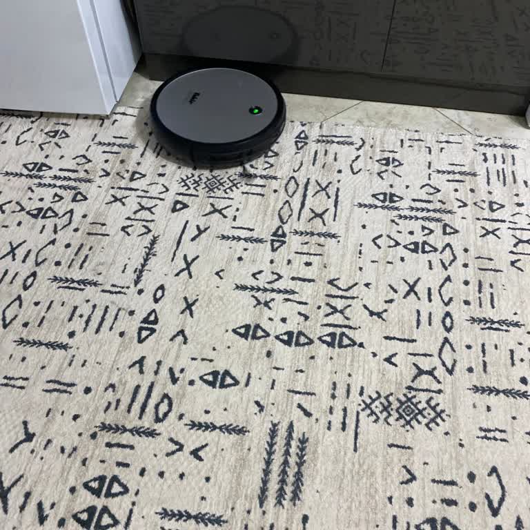 Fakir Ev Aletleri Robot Süpürge Kendi Kendine Durmaya Başladı!