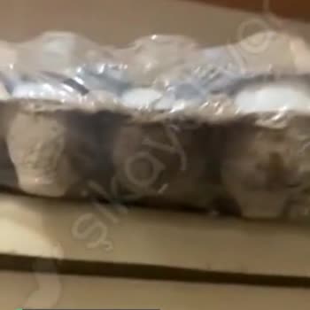 BİM Bili Bili Yumurtadan Kurt Çıktı!