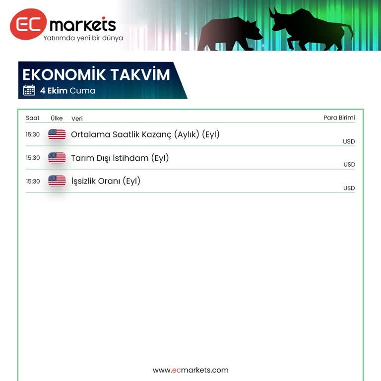 Yanıltıcı Danışmanlık ve İşlem Platformu Sorunu