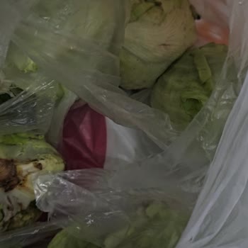 Migros'tan Gelen Hayal Kırıklığı: Çürük ve Küçük Marullar