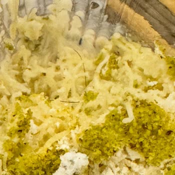 Setbaşı Fırını Bursa Ataevler'de Hayal Kırıklığı: Tatlıda Saç Çıktı!