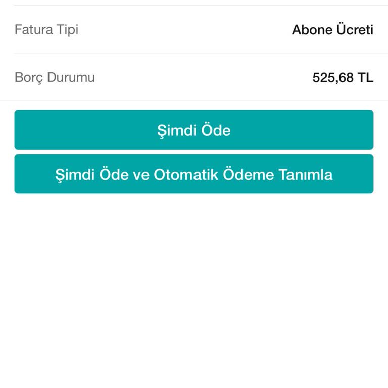 Sürekli Fatura Sorunu ve İptal Edilemeyen Üyelik