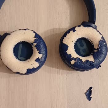 JBL Kulaklık Derisi Sorunu: Beklentilerin Altında Kalan Kalite